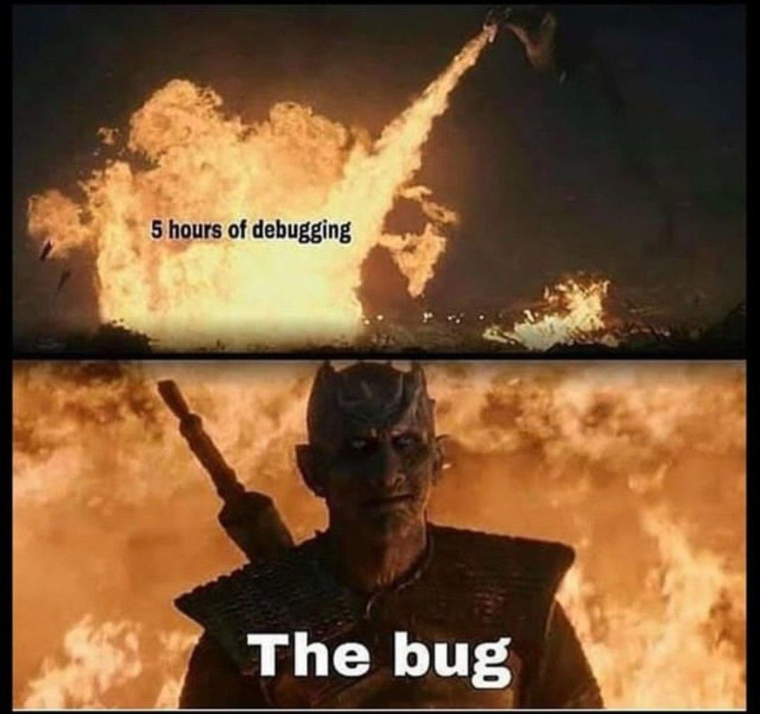 The Bug